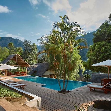 Pumarinri Amazon Lodge Tarapoto Dış mekan fotoğraf