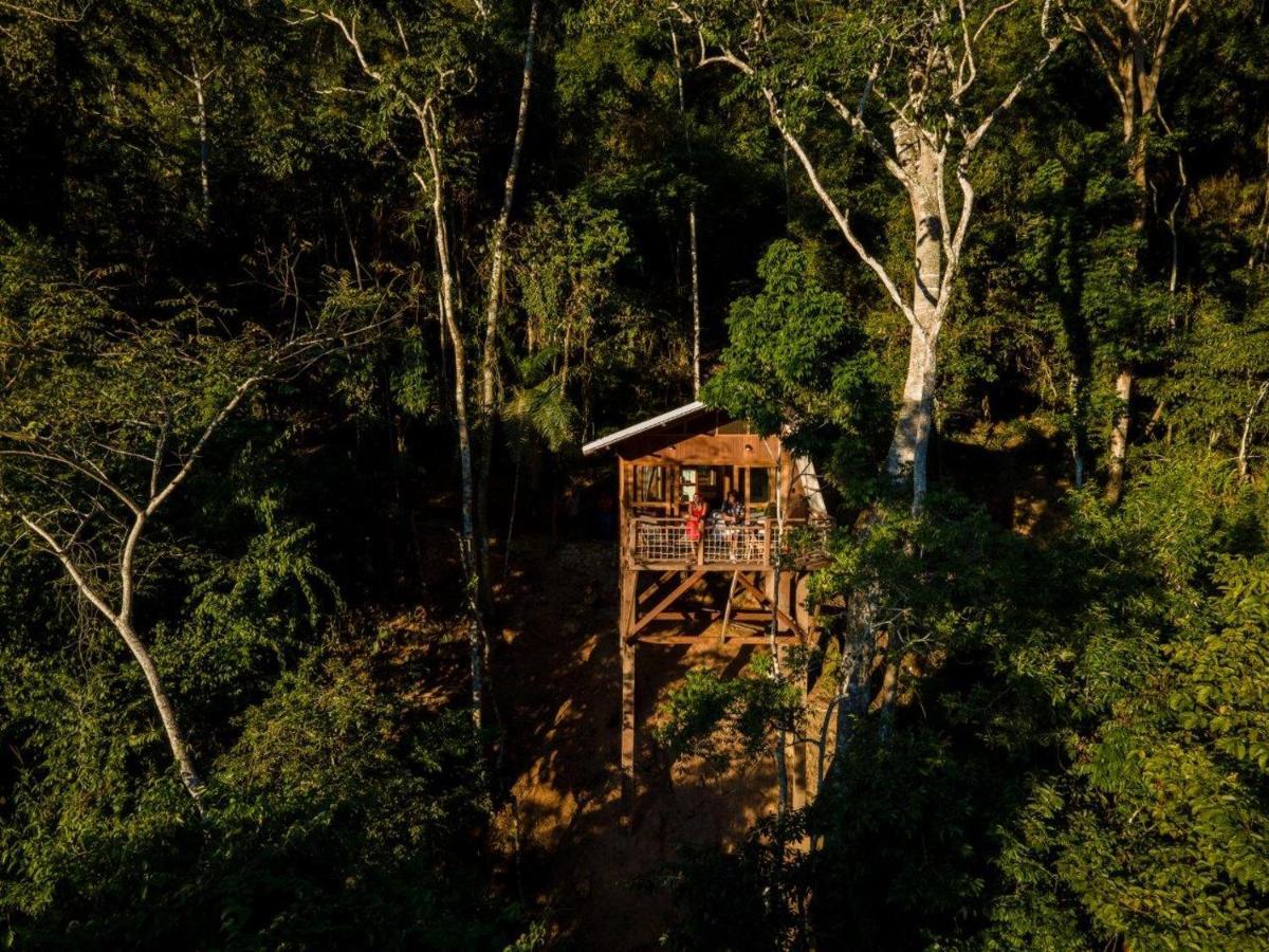 Pumarinri Amazon Lodge Tarapoto Dış mekan fotoğraf