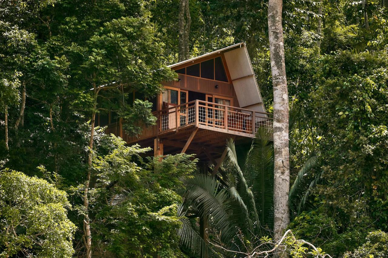 Pumarinri Amazon Lodge Tarapoto Dış mekan fotoğraf