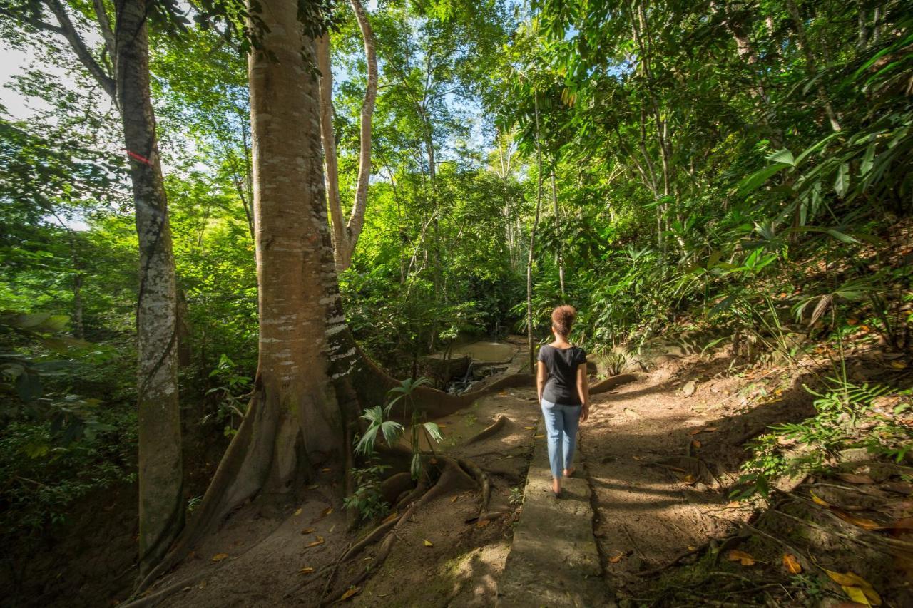 Pumarinri Amazon Lodge Tarapoto Dış mekan fotoğraf