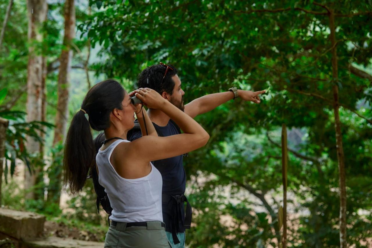 Pumarinri Amazon Lodge Tarapoto Dış mekan fotoğraf