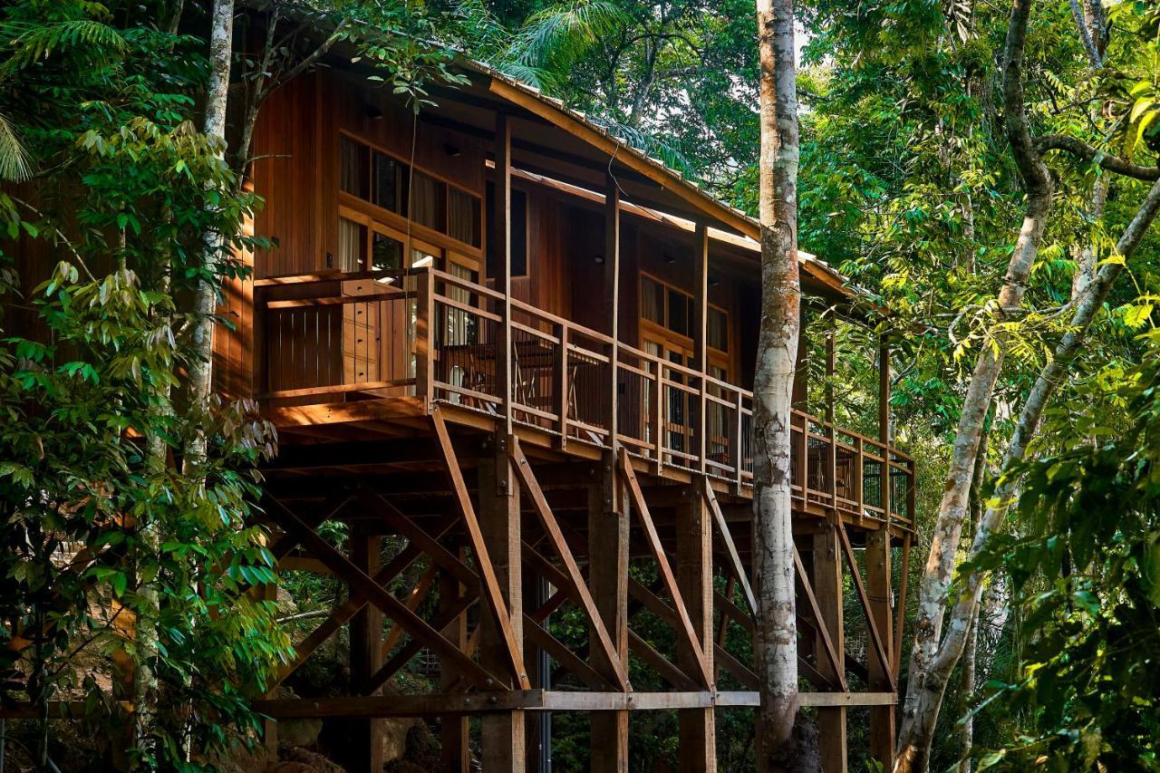 Pumarinri Amazon Lodge Tarapoto Dış mekan fotoğraf