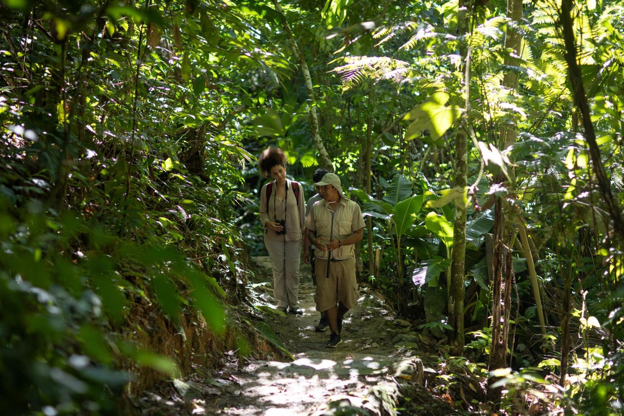 Pumarinri Amazon Lodge Tarapoto Dış mekan fotoğraf