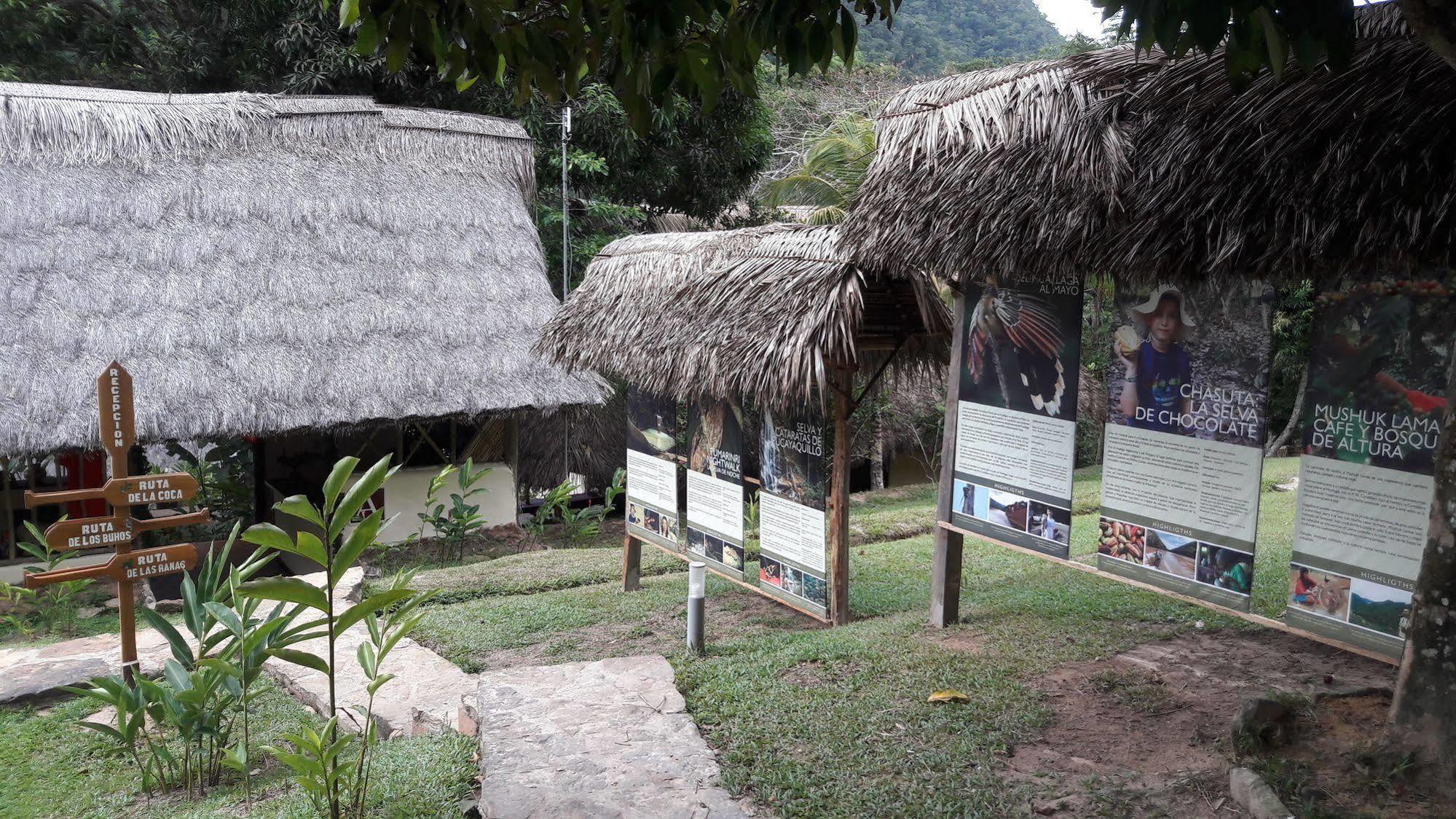 Pumarinri Amazon Lodge Tarapoto Dış mekan fotoğraf