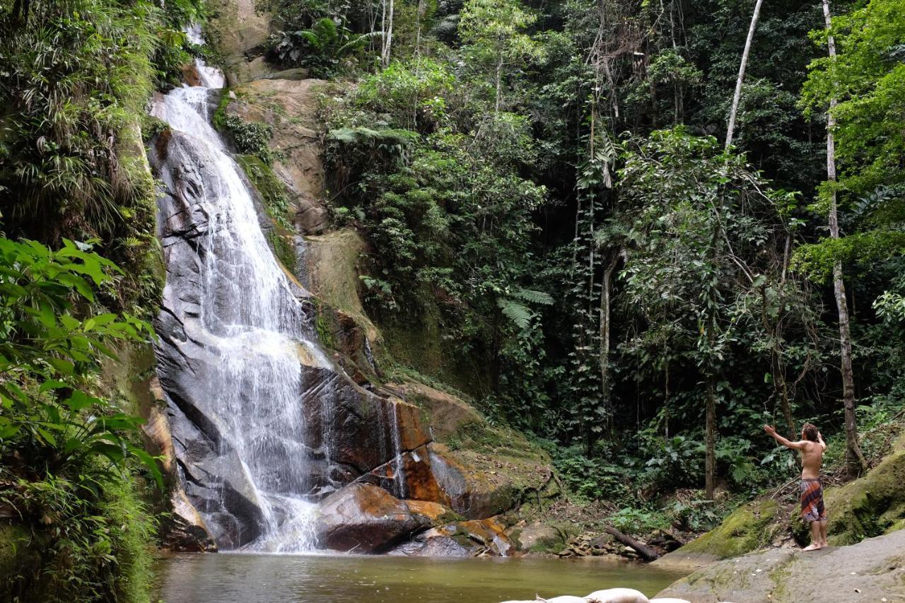 Pumarinri Amazon Lodge Tarapoto Dış mekan fotoğraf